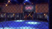 Sport Mma GIF by UFC