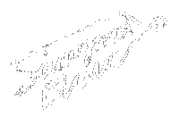 Lux Sticker by Nomehas Visuals ™