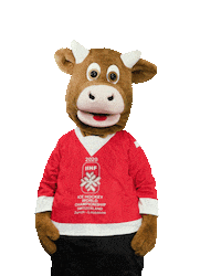 World Cup Referee Sticker by 2020 IIHF Ice Hockey World Championship Switzerland