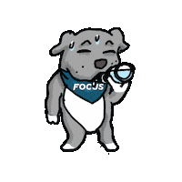 Gym Focusteam Sticker by Focus Centros de Entrenamiento