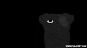 scared dogs GIF by Pugatory