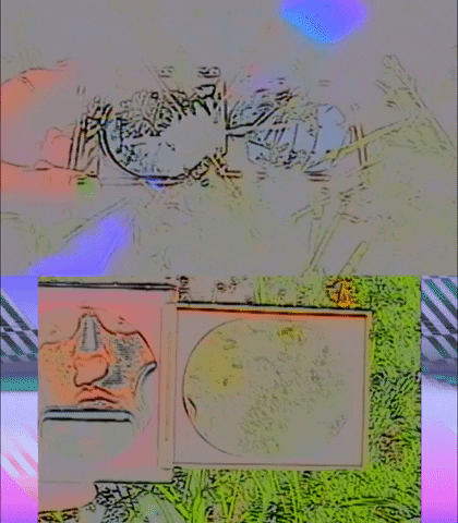 Art Glitch GIF by Flavisamurai