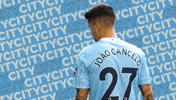 Premier League Football GIF by Manchester City