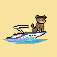 Happy Lets Go GIF by Doginal Dogs