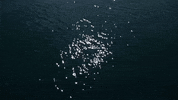 Water Mar GIF by jorgemariozuleta