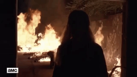 the walking dead twd GIF