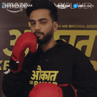 Fight Boxing GIF by Amazon MX Player