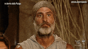 raz degan no GIF by Isola dei Famosi