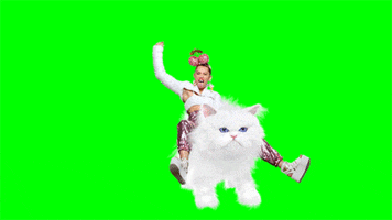 recap GIF