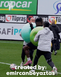 Beşiktaş GIF