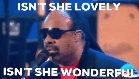 empirebbk stevie wonder isnt she lovely isnt she wonderful GIF