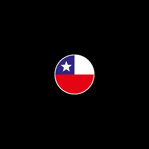 Flag Chile GIF by elturf