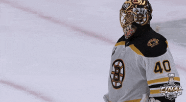 happy ice hockey GIF by NHL