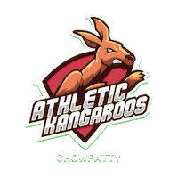 Cricket Acc Sticker by Sportobuddy