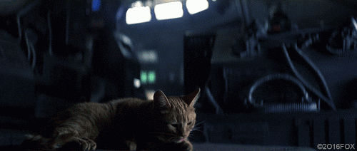 cat jones GIF by 20th Century Fox Home Entertainment