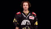 Hockey Del2 GIF by Krefeld Pinguine