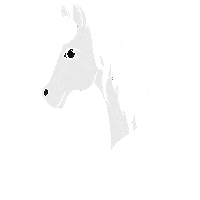 Horse Horsetraining Sticker by SandraFencl