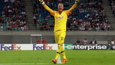 awesome celebration GIF by FC Red Bull Salzburg