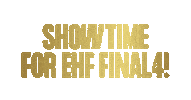 Sport Show Sticker by EHF