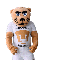 Heart Love Sticker by Pumas MX