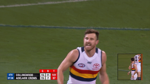 adelaidecrows giphyupload reactions celebrations adelaide crows GIF
