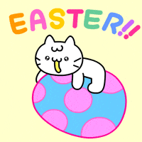 Cat Kitty GIF by Mikitti