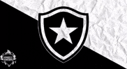 Botafogo De Futebol E Regatas Bfr GIF