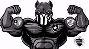 Botafogo De Futebol E Regatas Bfr GIF