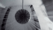 Agua Chuveiro GIF by TV Globo