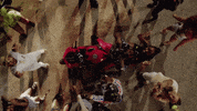 Party Miami GIF by Kranium