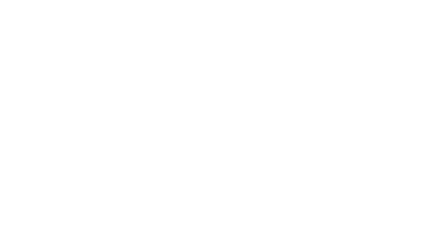 new orleans Sticker by Zehnder