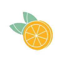 Orange Slice Sticker by Cocktail.Shop