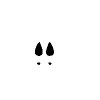 Salsa Casino Sticker