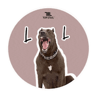 Laugh Love Sticker by Top2Tail