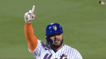 Excited Ny Mets GIF by New York Mets