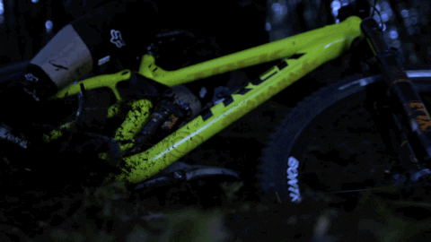 unreal GIF by EchoBoom Sports
