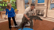 alligator tail whip GIF by The Meredith Vieira Show
