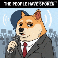 Serious Vote GIF by Doge Pound