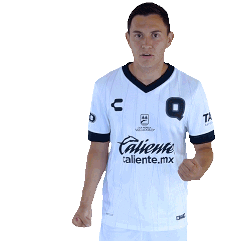 Liga Mx Gallos Sticker by Club Querétaro