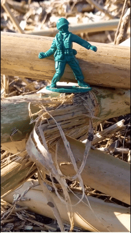 Simongip giphyupload GIF