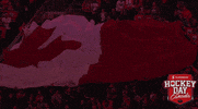 Ice Hockey Sport GIF by NHL
