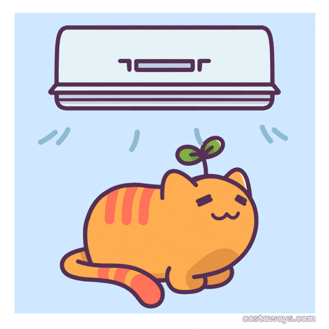 Air Conditioning Cat GIF by Castaways