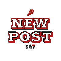 Swipe Up Fried Chicken Sticker by K Fry My