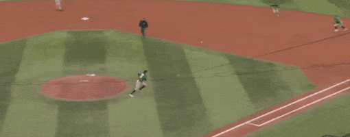 leo-morgenstern giphygifmaker GIF