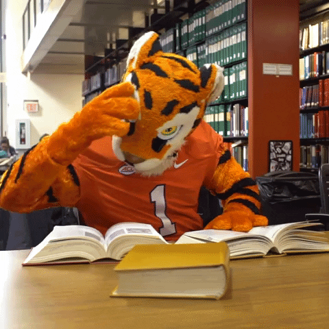 clemson GIF