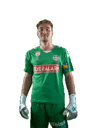 Admira Sticker by KSV1919