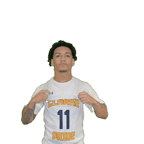 Mens Basketball Sticker by Clarke University