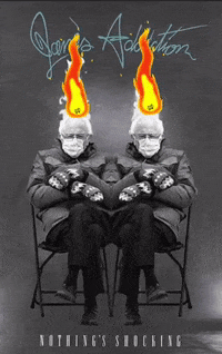 Bernie Sanders Meme GIF