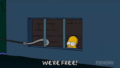 freedom