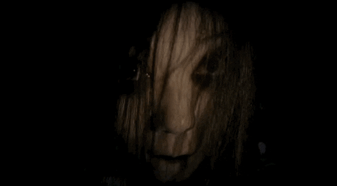 the grudge GIF